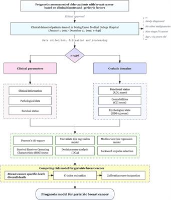 Assessment of geriatric and clinical domains for development and validation of a novel nomogram to predict the prognosis of older patients with breast cancer: a real-world retrospective cohort study